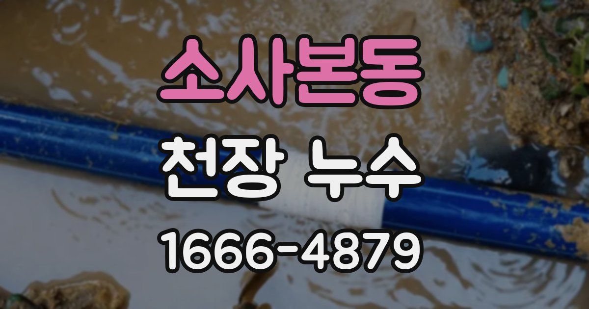 소사본동 천장 누수