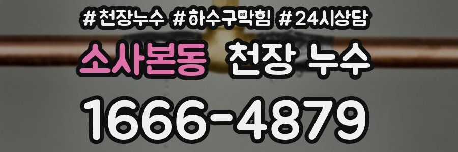 소사본동 천장 누수