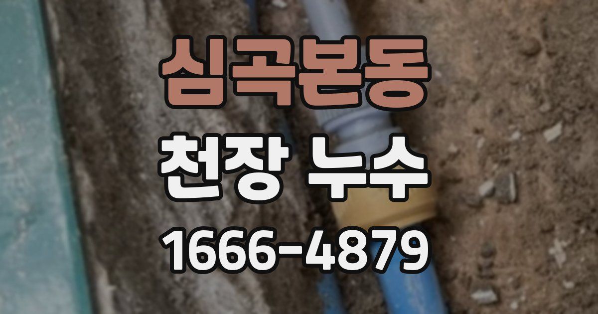 심곡본동 천장 누수