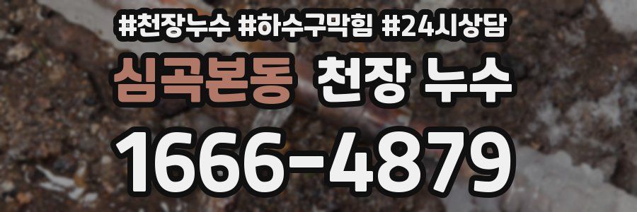 심곡본동 천장 누수