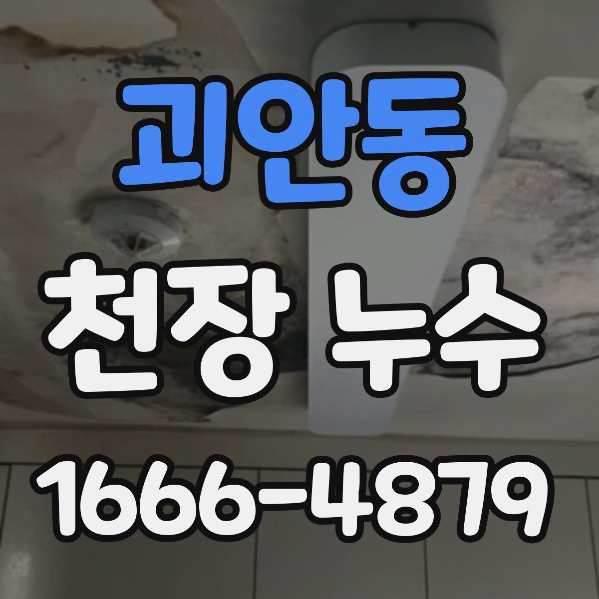 괴안동 천장 누수