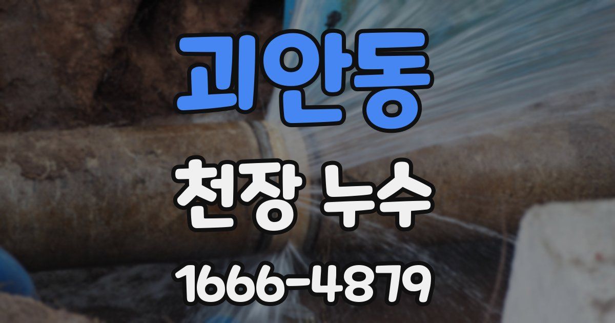 괴안동 천장 누수