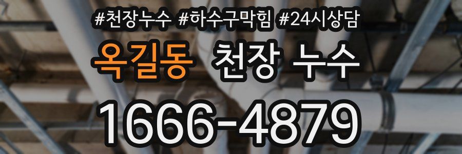 옥길동 천장 누수
