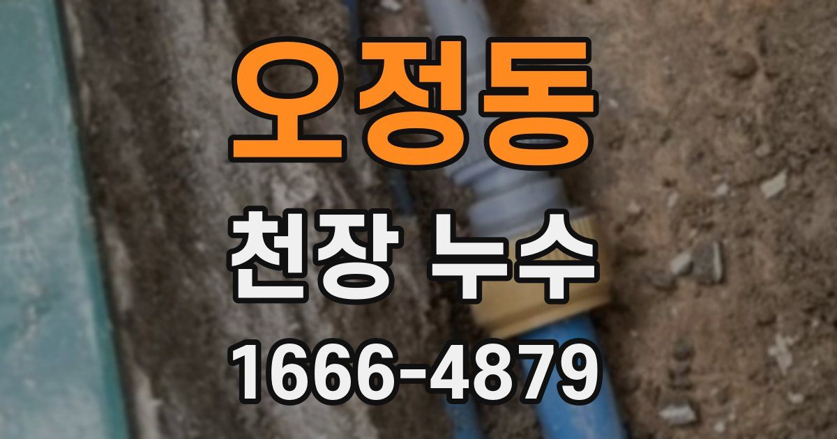 오정동 천장 누수