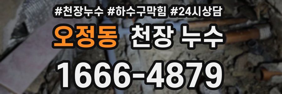 오정동 천장 누수