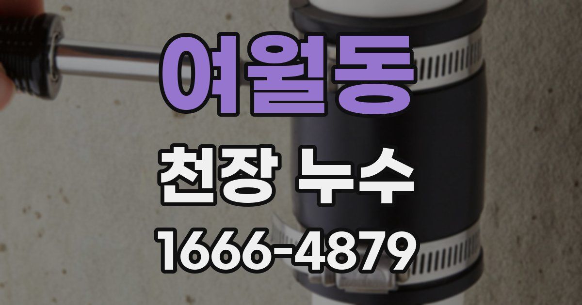 여월동 천장 누수