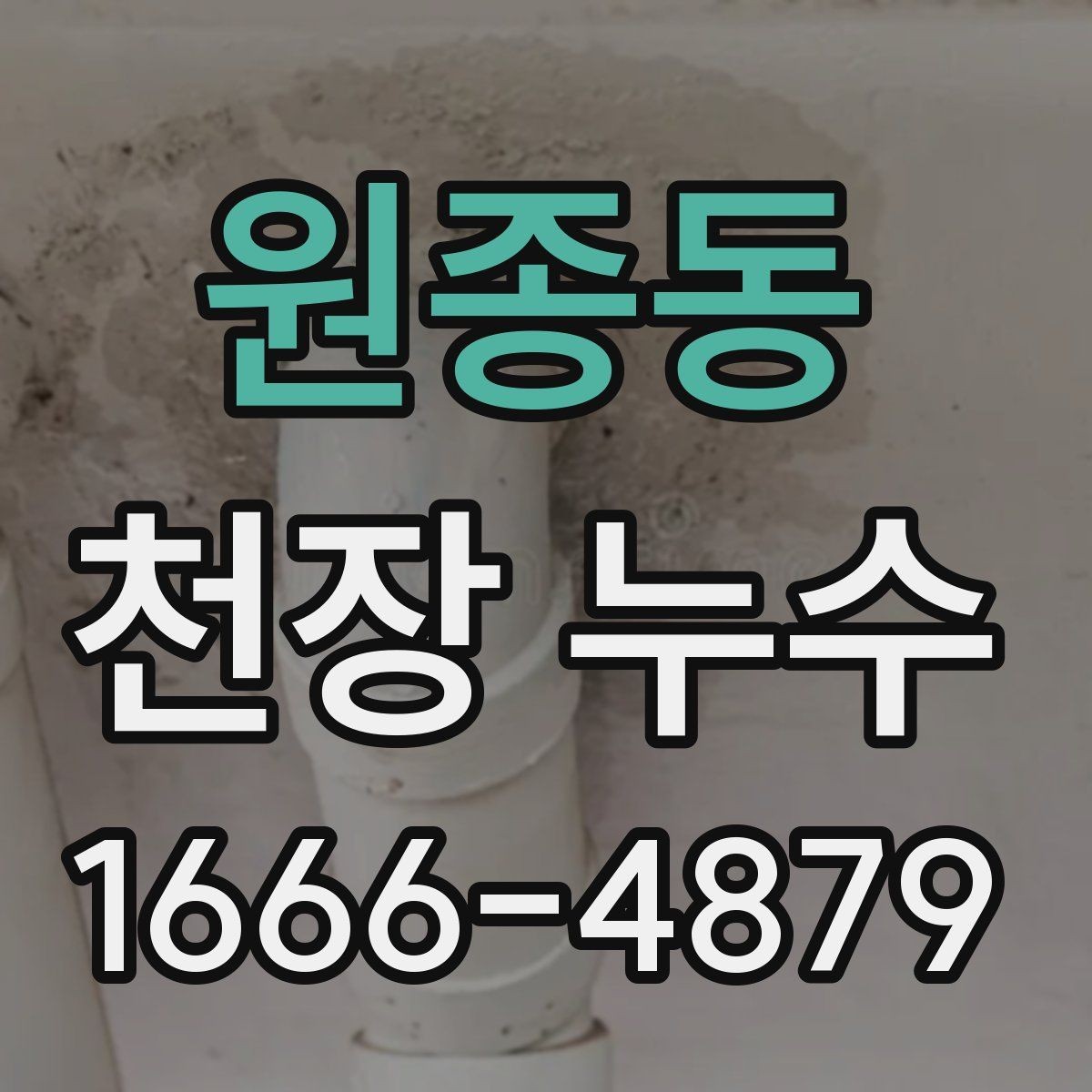 원종동 천장 누수 섣불리 뜯기 전에 원인부터 확인하세요