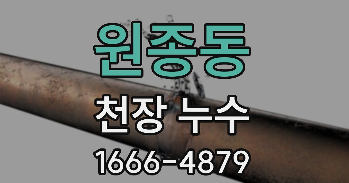 원종동 천장 누수