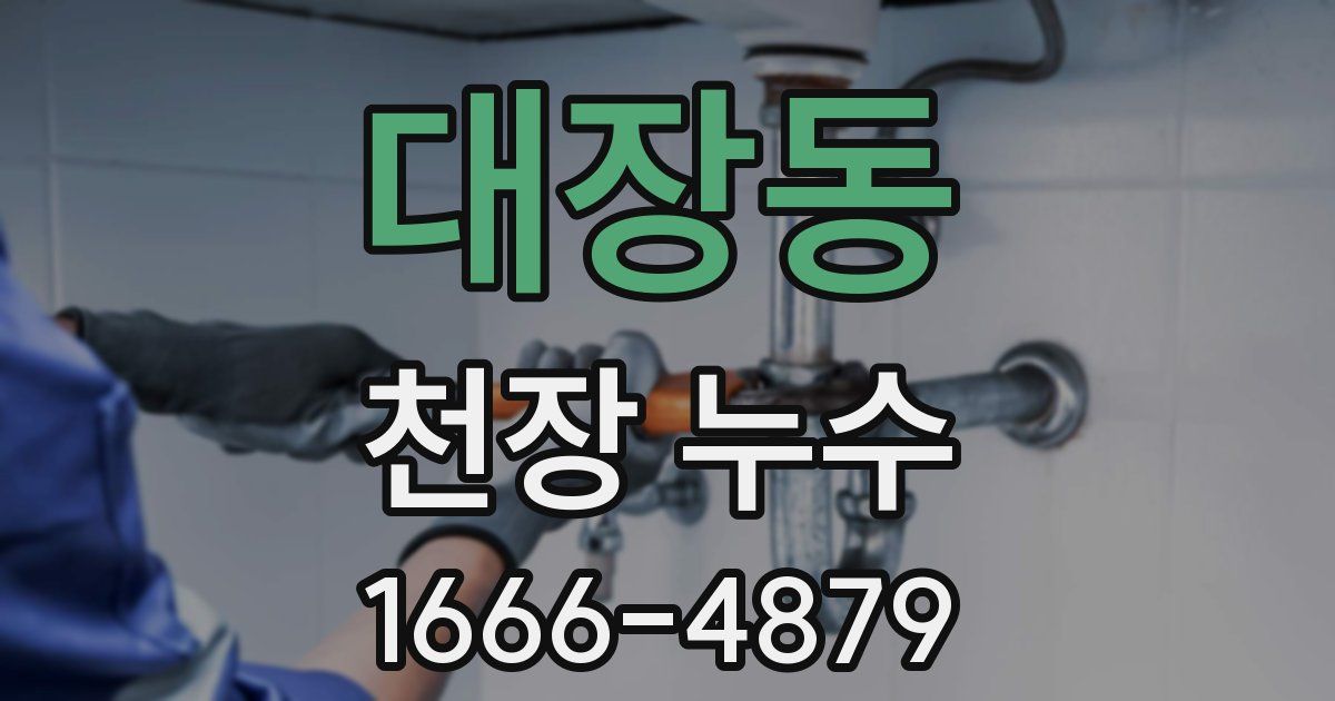 대장동 천장 누수