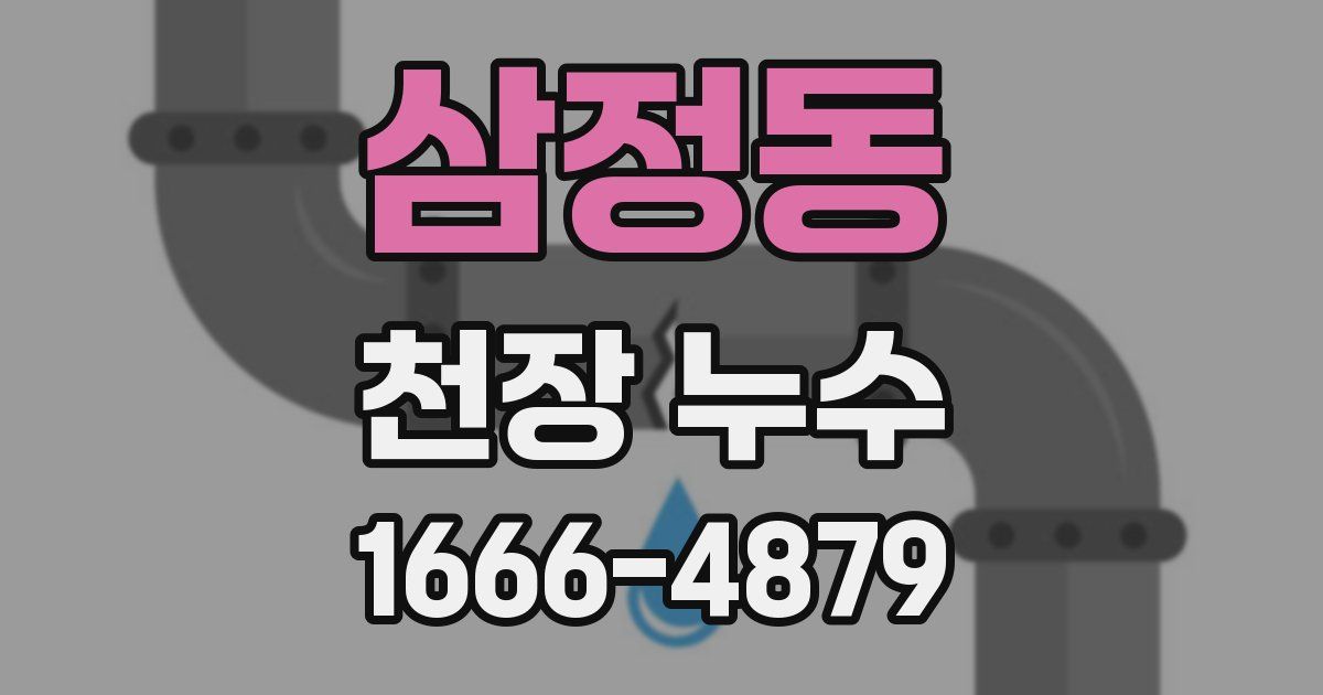 삼정동 천장 누수