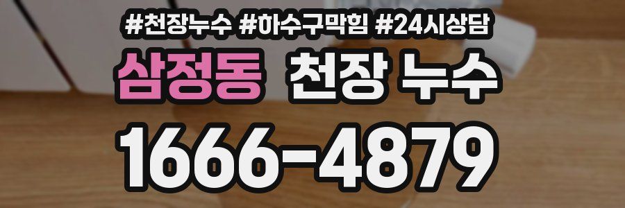 삼정동 천장 누수