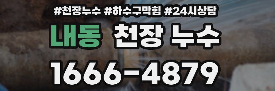 내동 천장 누수