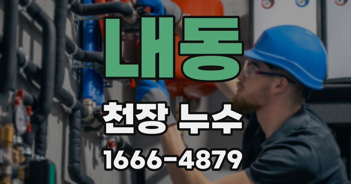 내동 천장 누수