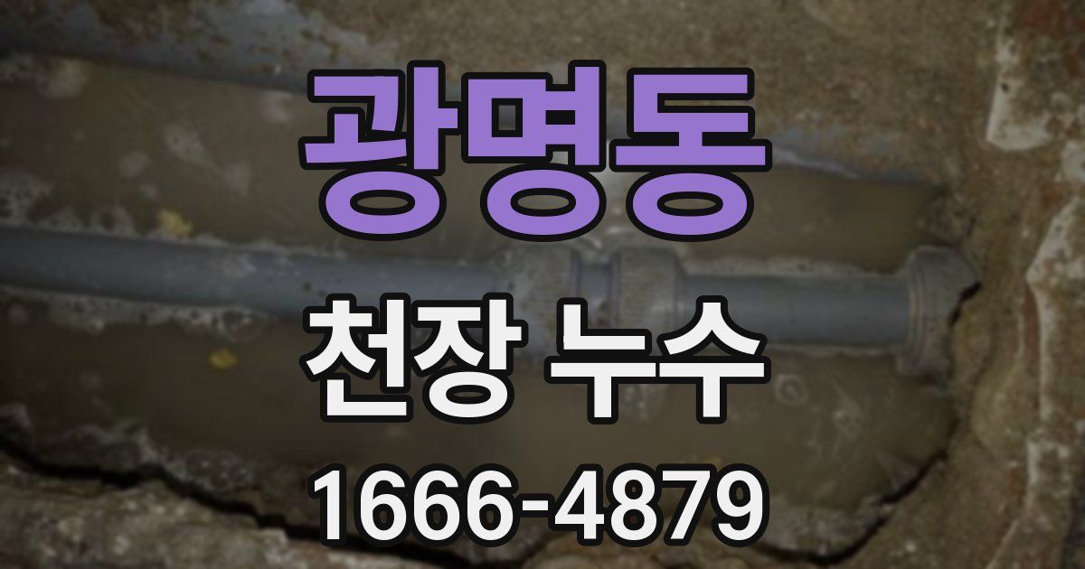 광명동 천장 누수