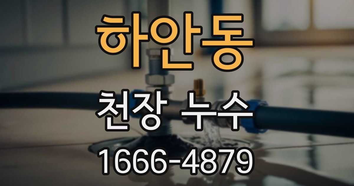 하안동 천장 누수