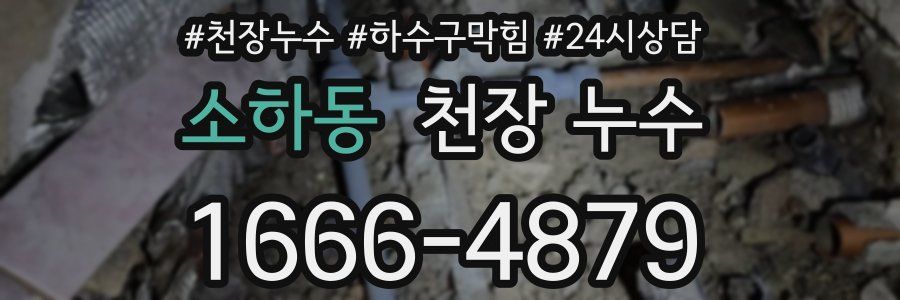 소하동 천장 누수