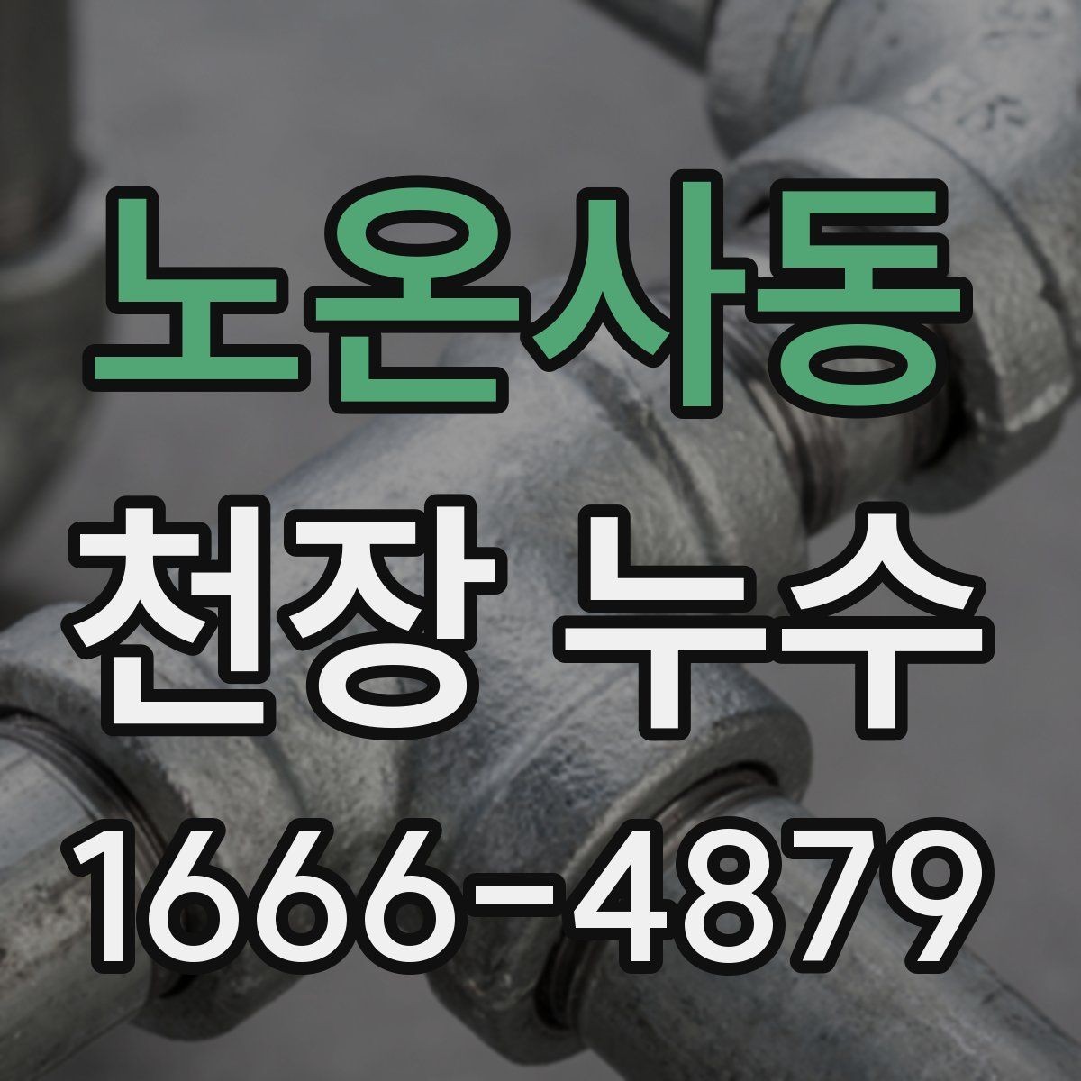 노온사동 천장 누수 곰팡이 번지기 전 점검