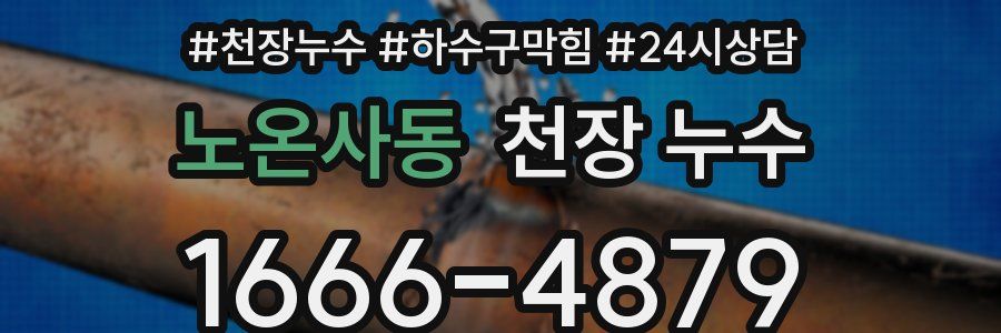 노온사동 천장 누수