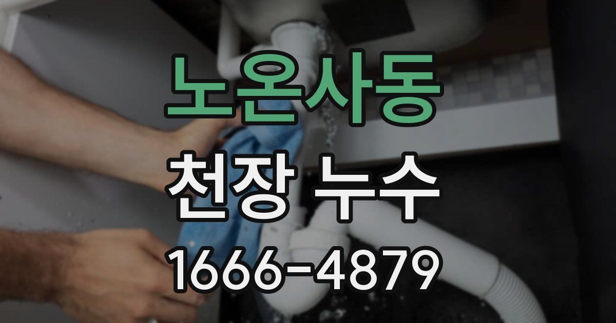 노온사동 천장 누수