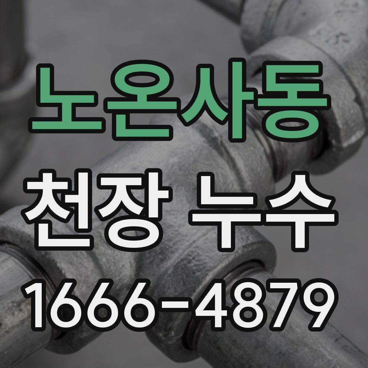 노온사동 천장 누수