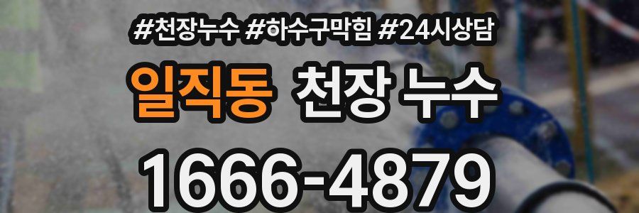 일직동 천장 누수