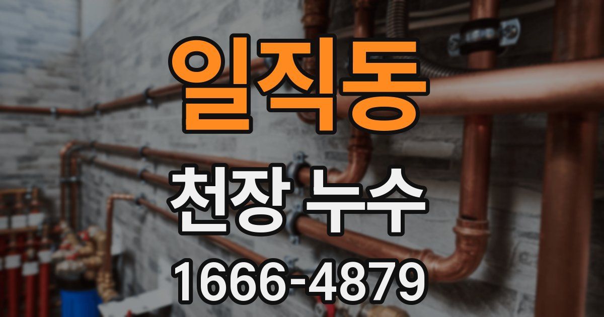 일직동 천장 누수