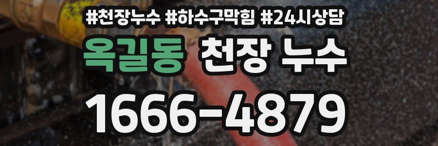 옥길동 천장 누수