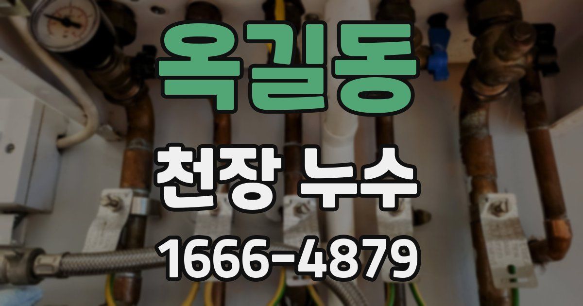 옥길동 천장 누수