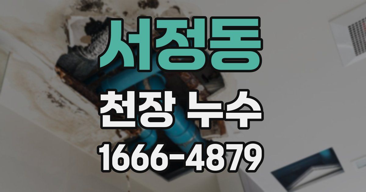 서정동 천장 누수