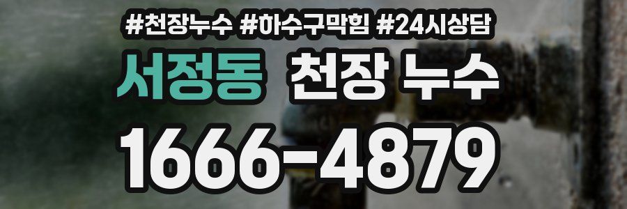 서정동 천장 누수