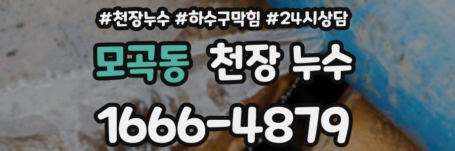 모곡동 천장 누수