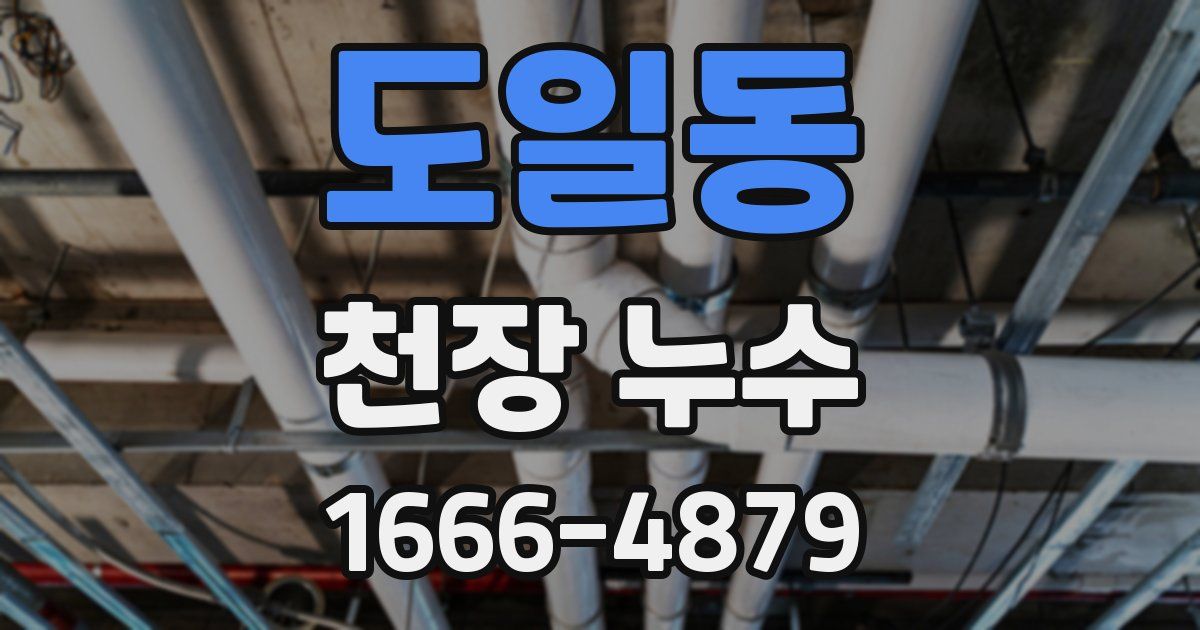도일동 천장 누수