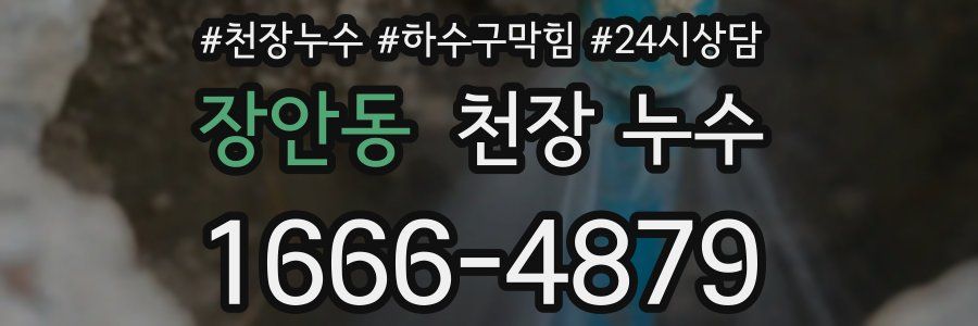 장안동 천장 누수