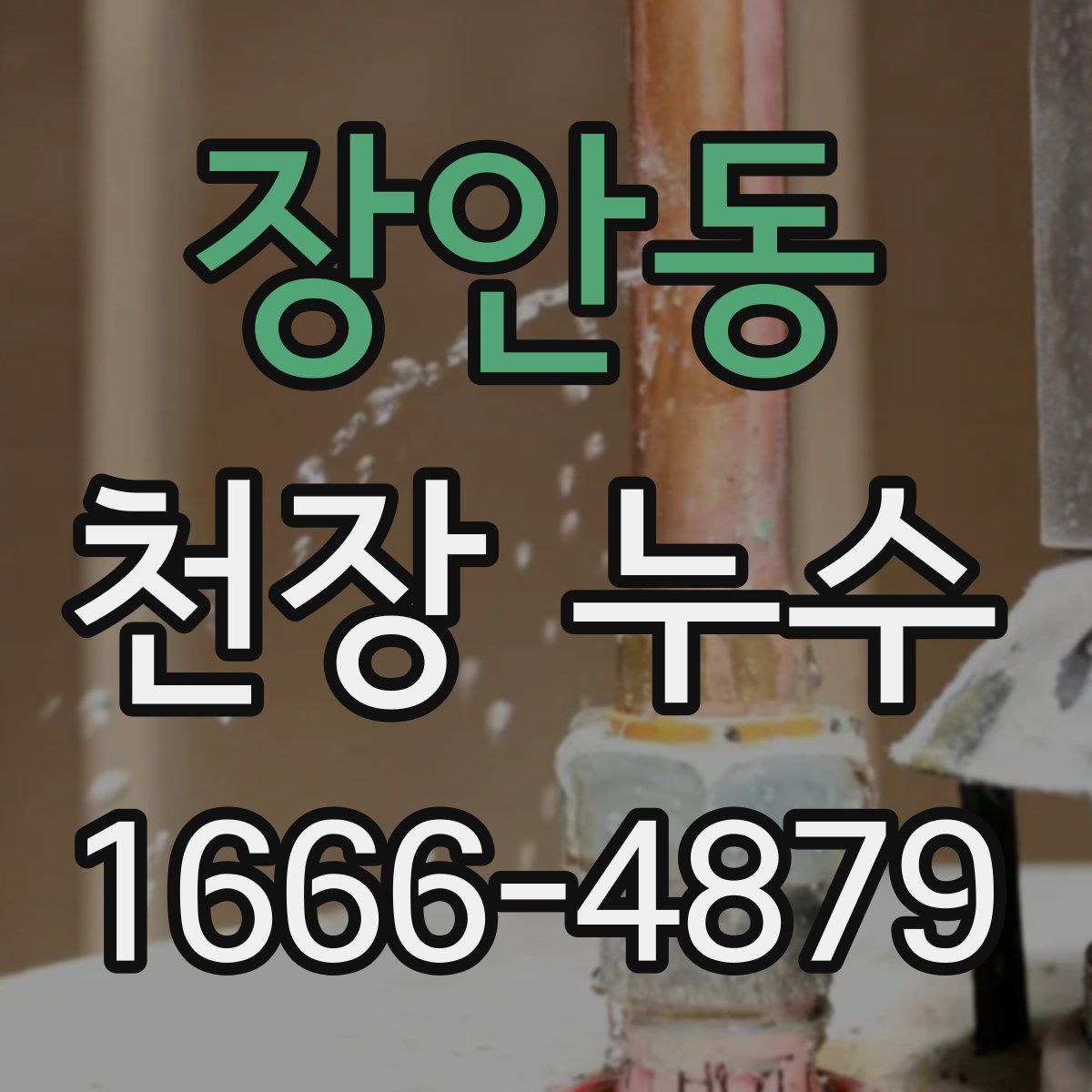 장안동 천장 누수