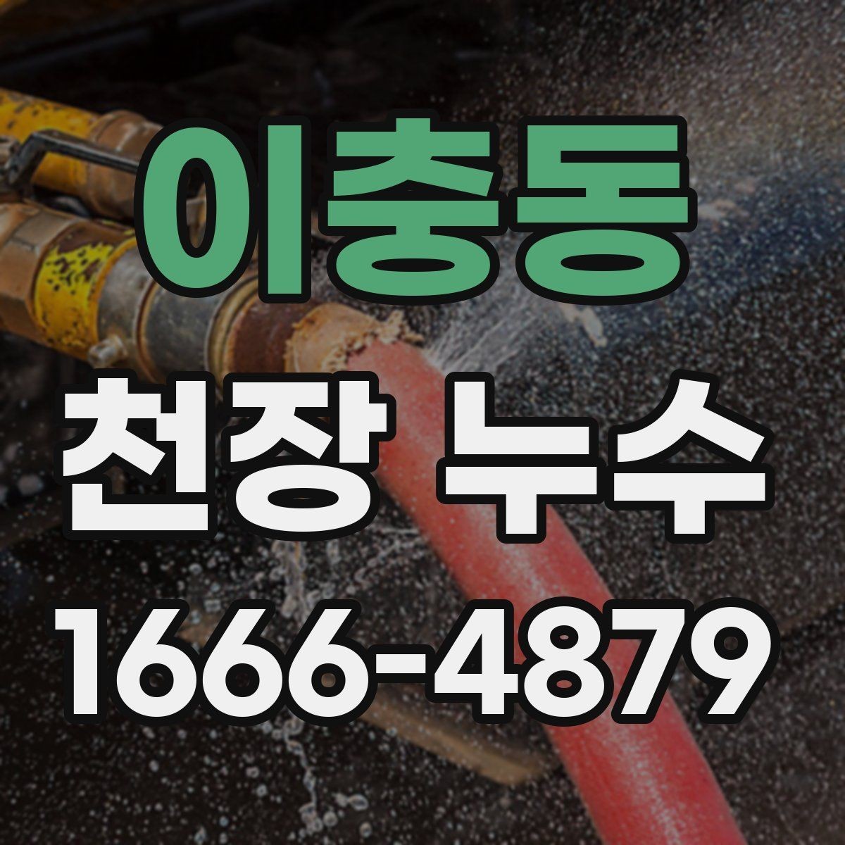 이충동 천장 누수 피해가 커지기 전 빠른 대응