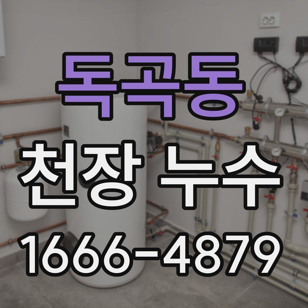 독곡동 천장 누수