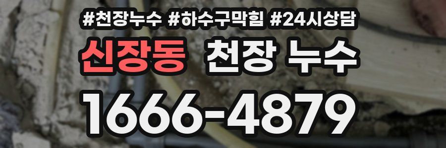 신장동 천장 누수