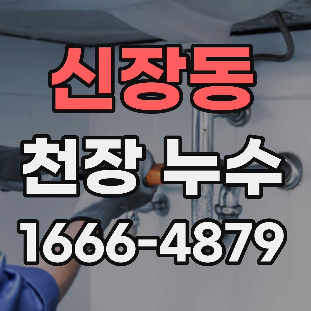 신장동 천장 누수