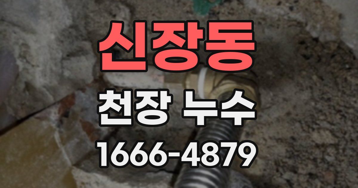 신장동 천장 누수