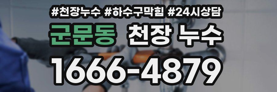 군문동 천장 누수