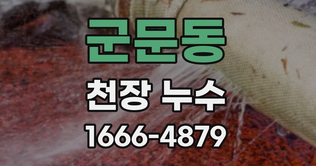 군문동 천장 누수