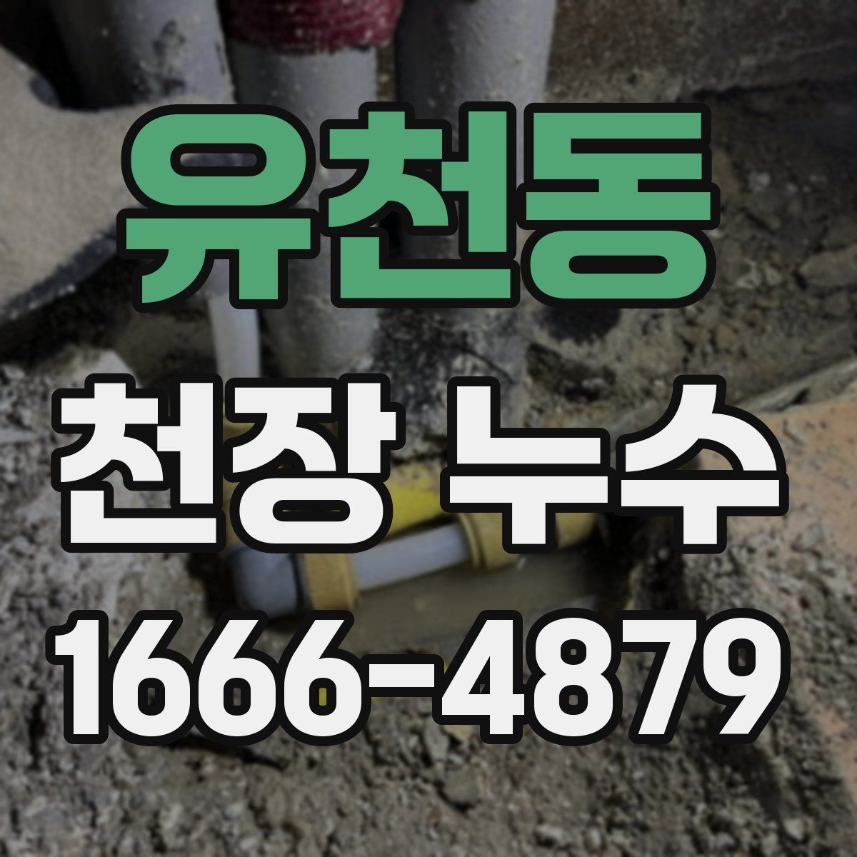 유천동 천장 누수