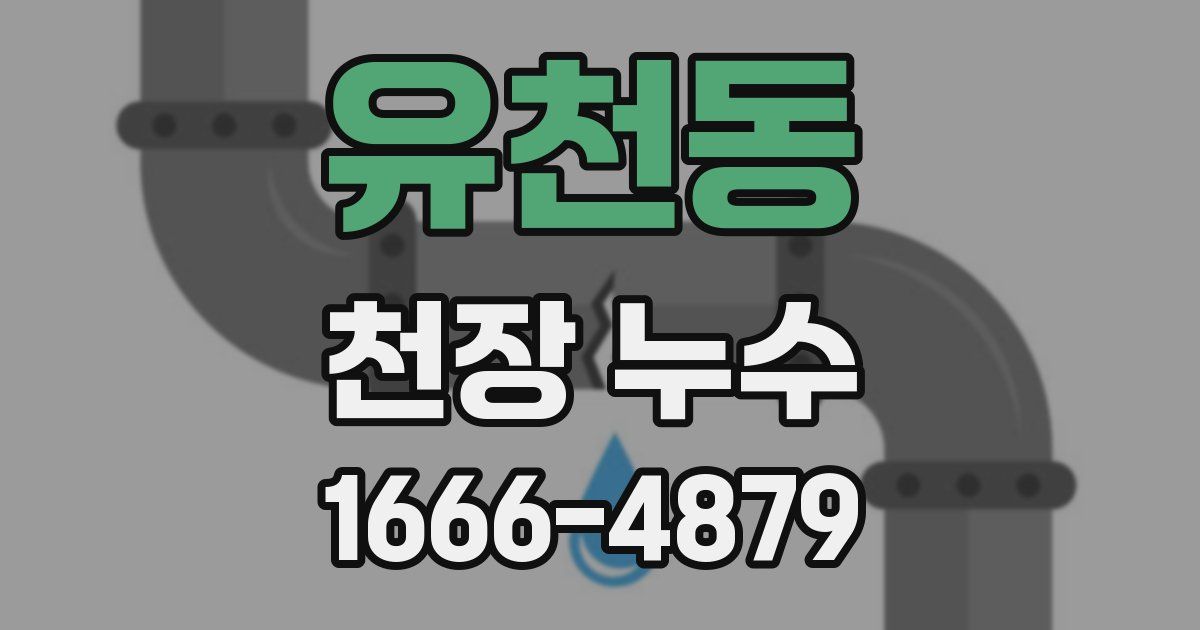 유천동 천장 누수