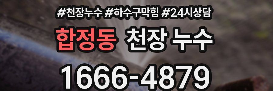 합정동 천장 누수