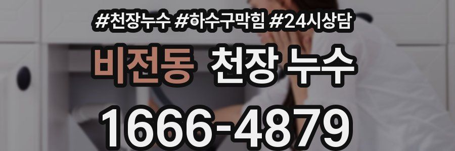 비전동 천장 누수