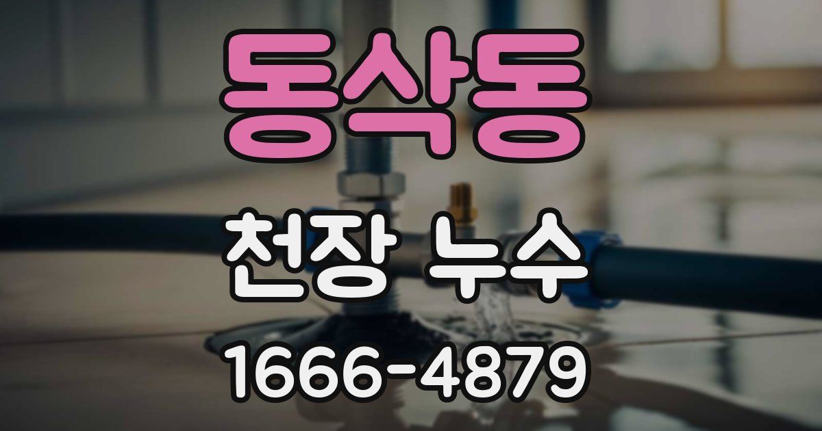 동삭동 천장 누수