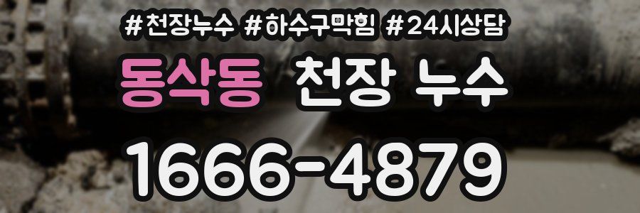 동삭동 천장 누수