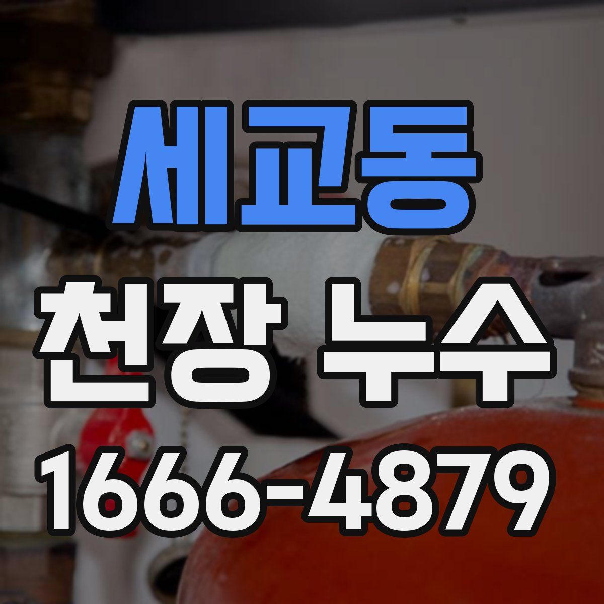 세교동 천장 누수