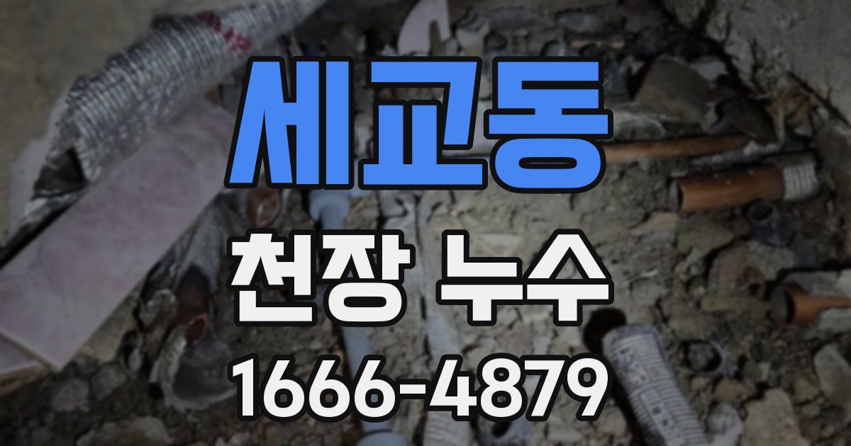 세교동 천장 누수