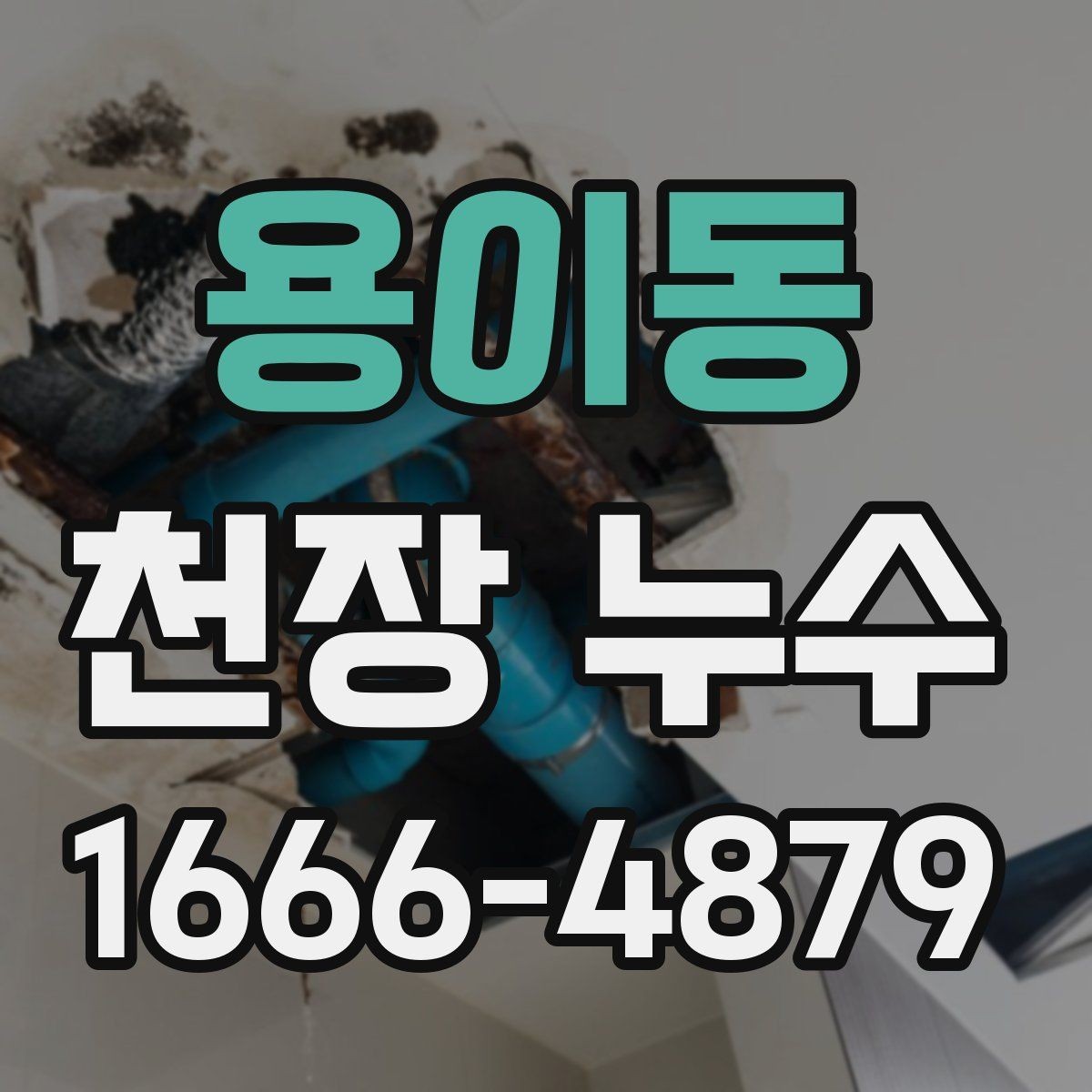 용이동 천장 누수 세탁실 위쪽 천장 누수, 점검 포인트
